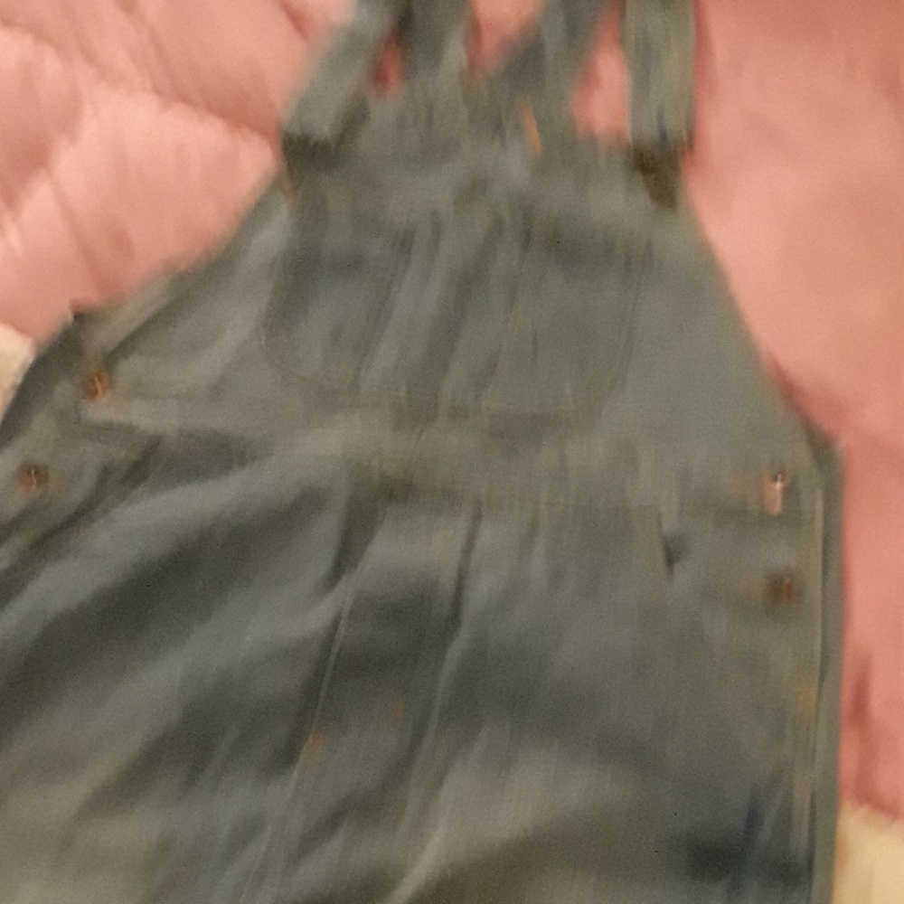 Overalls - Picture 2 of 2
